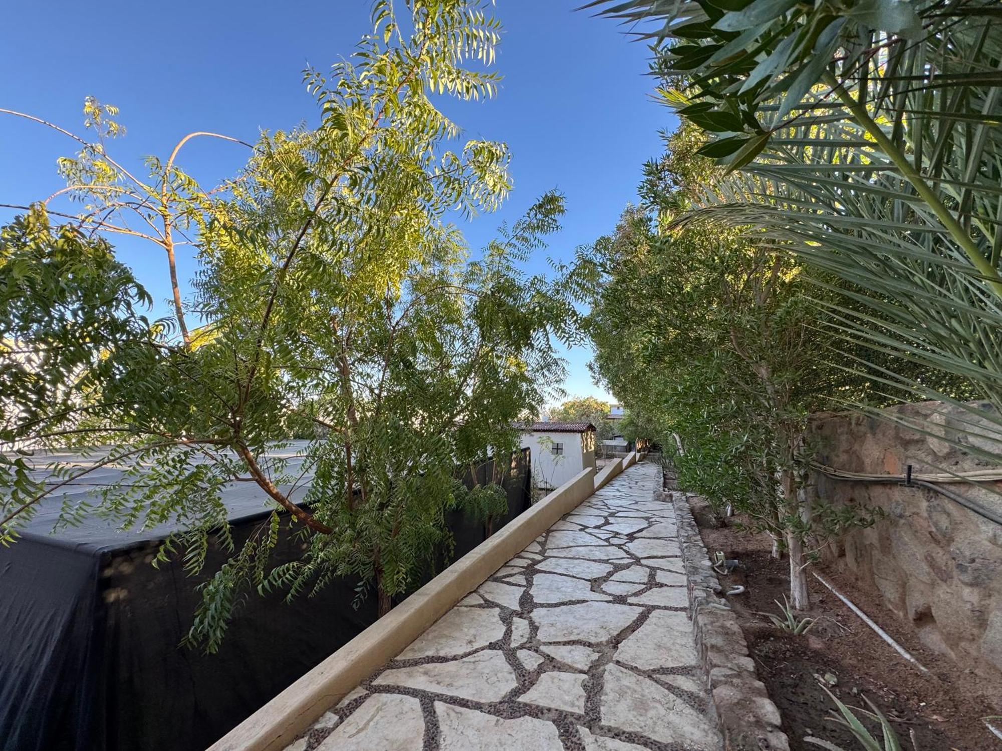 Villa The Wind Farm Dahab Exterior foto