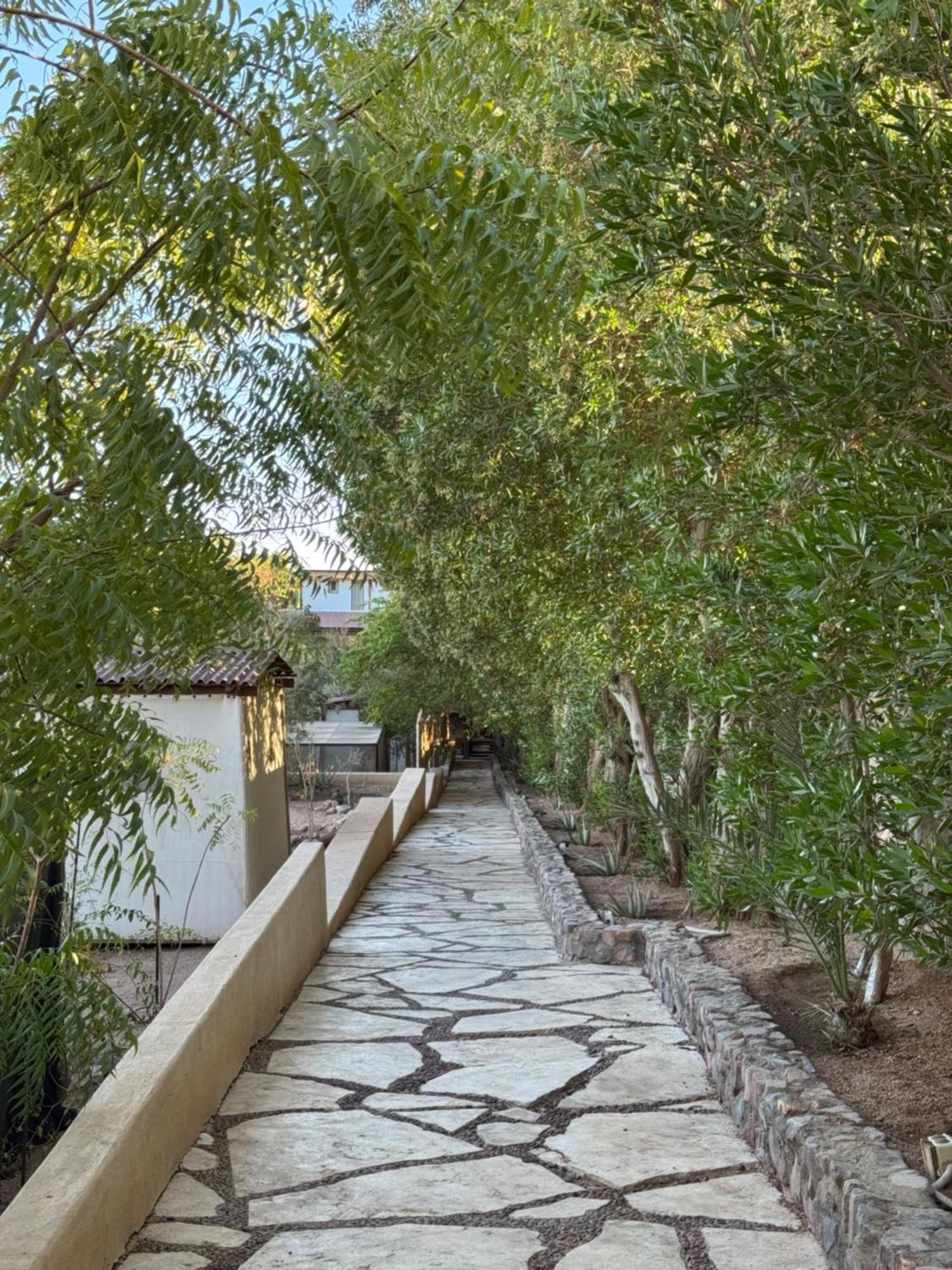 Villa The Wind Farm Dahab Exterior foto